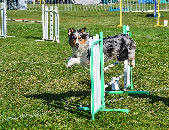 Belgian Terv trial 6.8.14-16