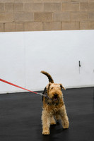 DSC_3142