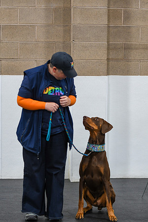 Stark and ribbons-18