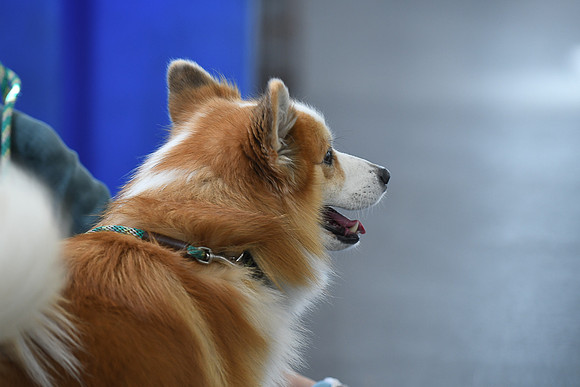 DSC_8358