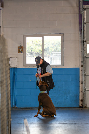 DSC_9354