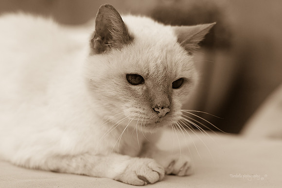 DSC_5019-2