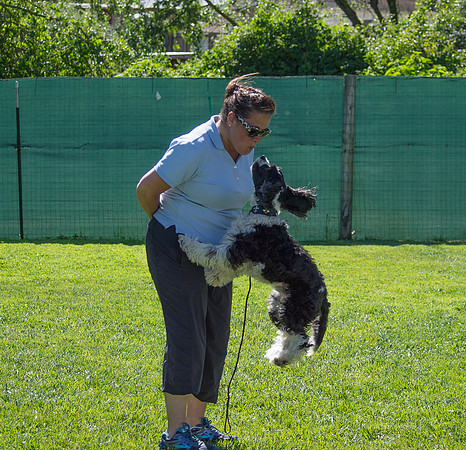 Jester and Tammy